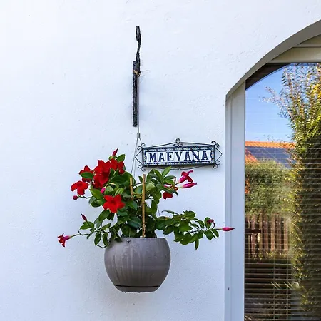 Holiday home Boucau Maison Avec Jardin *